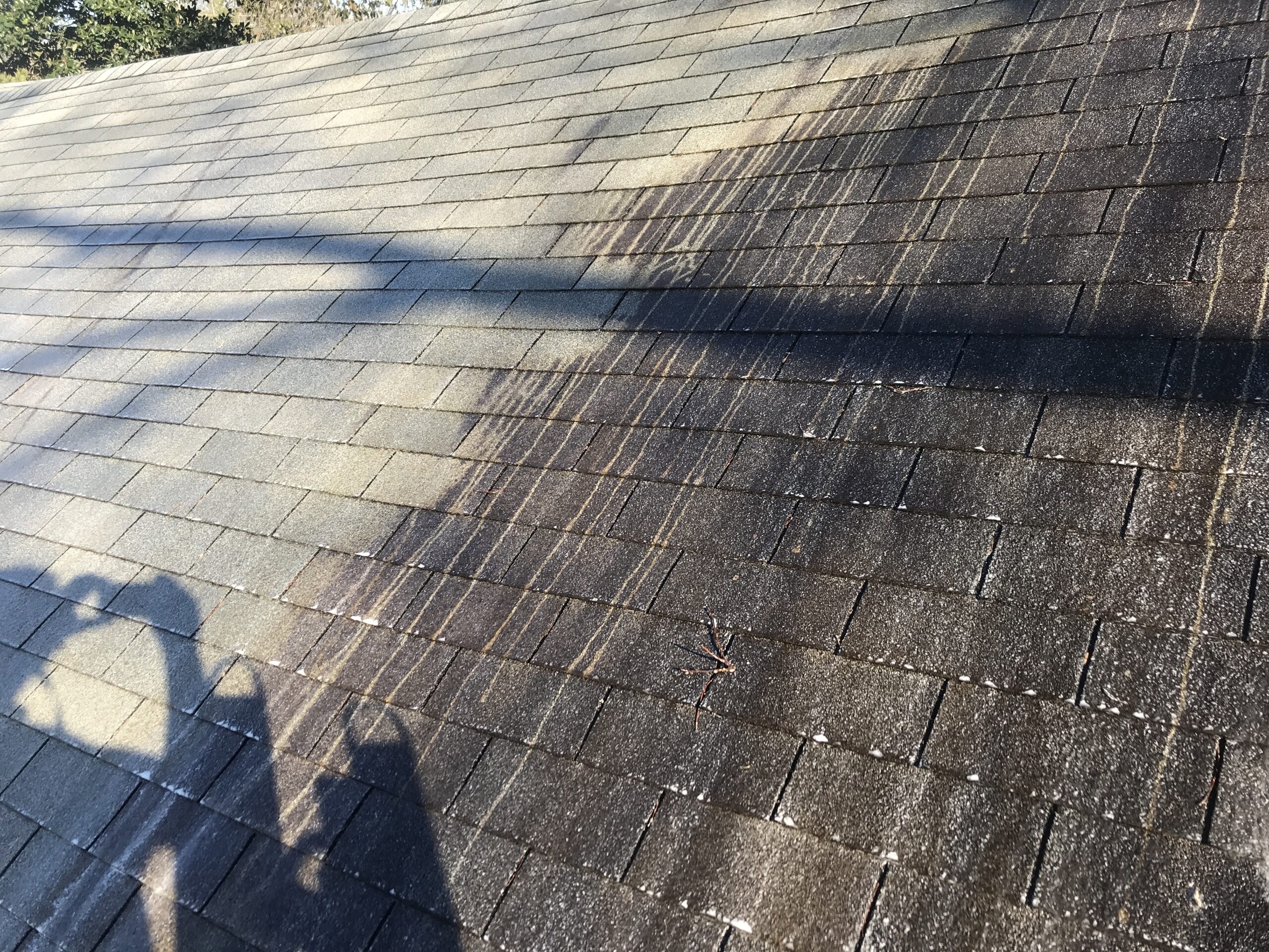 Roof Cleaning
